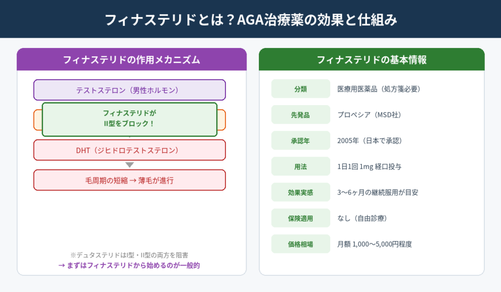 フィナステリドの作用メカニズムと基本情報