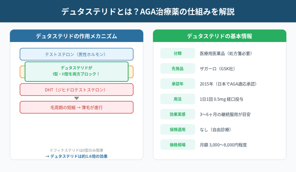 デュタステリドの作用メカニズムと基本情報の図解